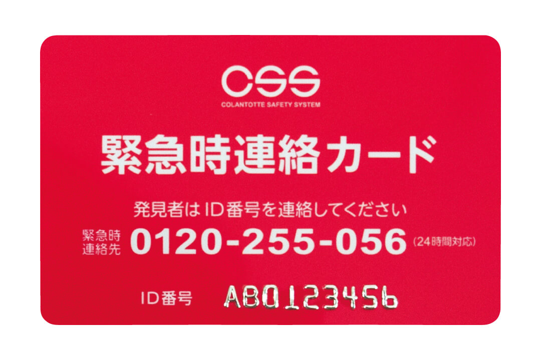 Css card01 big